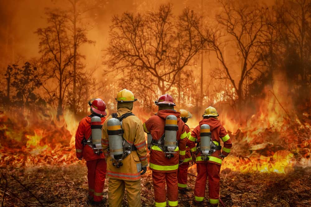 Understanding Critical Incident Counselling: A Lifeline During Queensland’s Bushfires